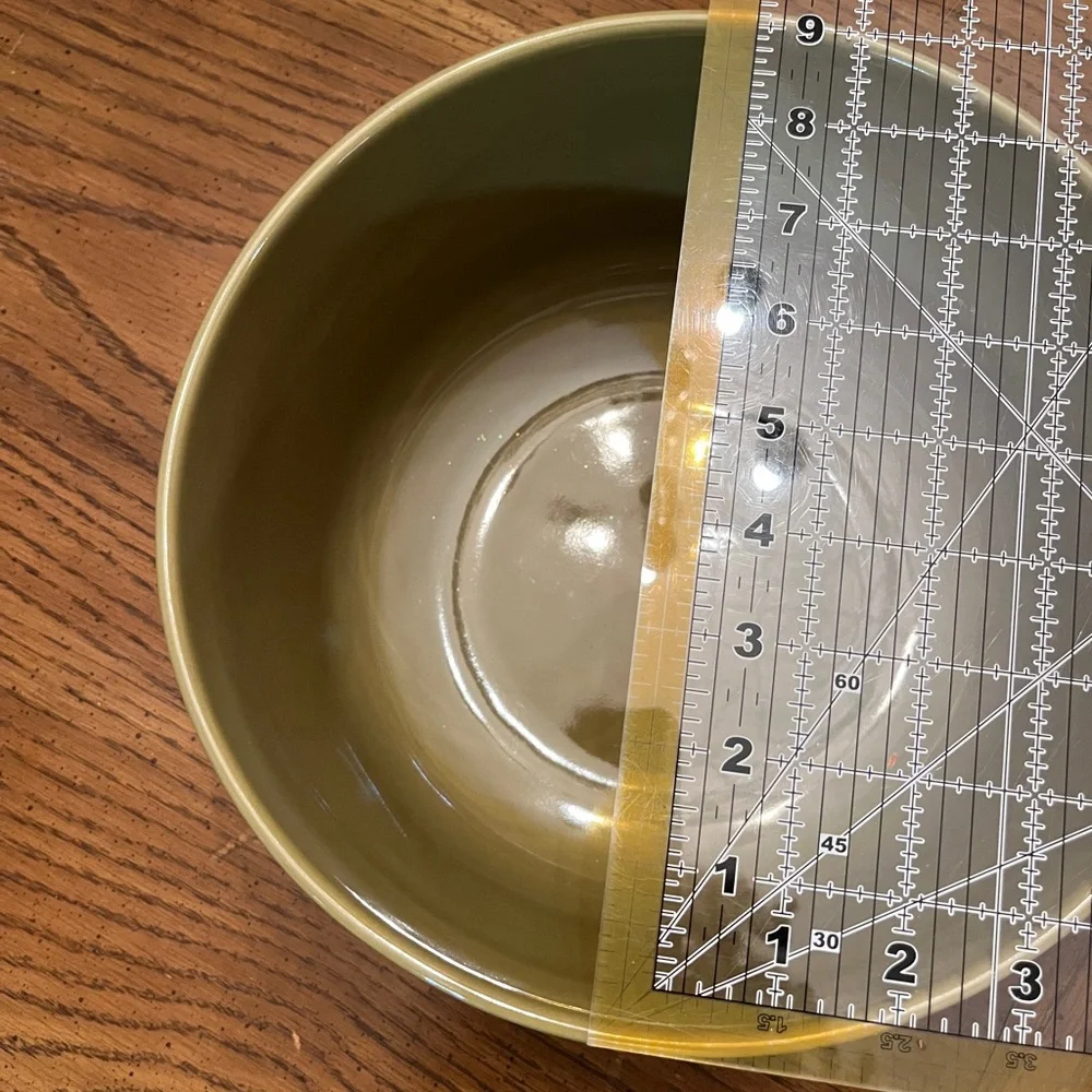 Pier 1 Imports Carrot Embossed Large Green Serving Bowl‎